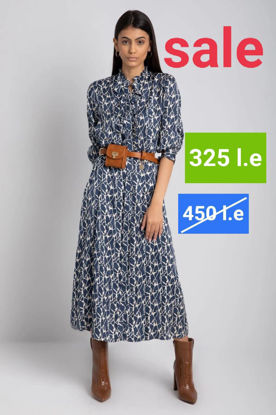Picture of Lady navy long dress